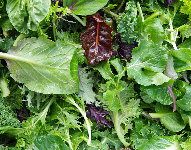 Spring Leafy Greens