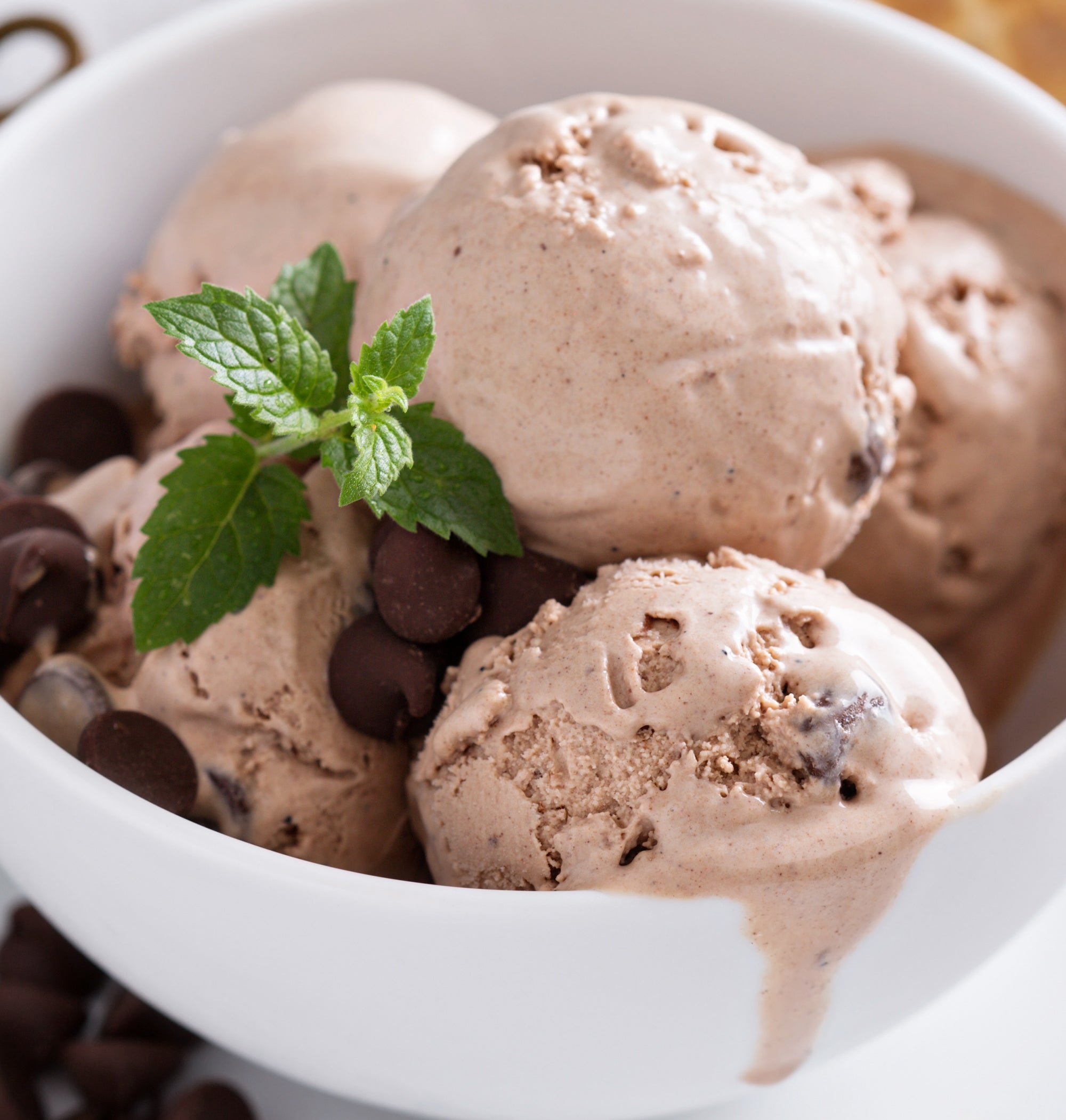 Classic Chocolate Lovers Ice Cream with Chocolate Chips