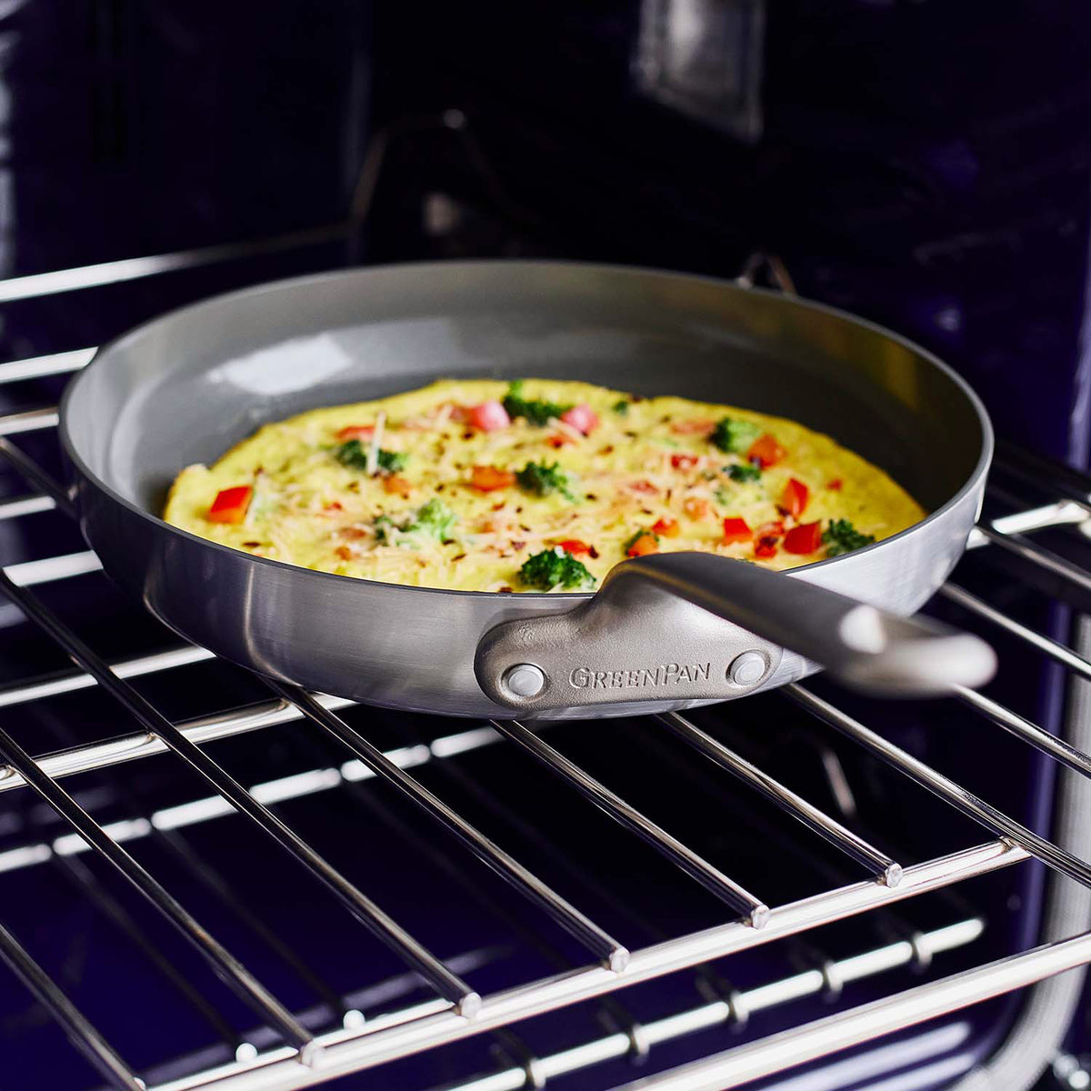 Craft Stainless Steel 10" Frypan