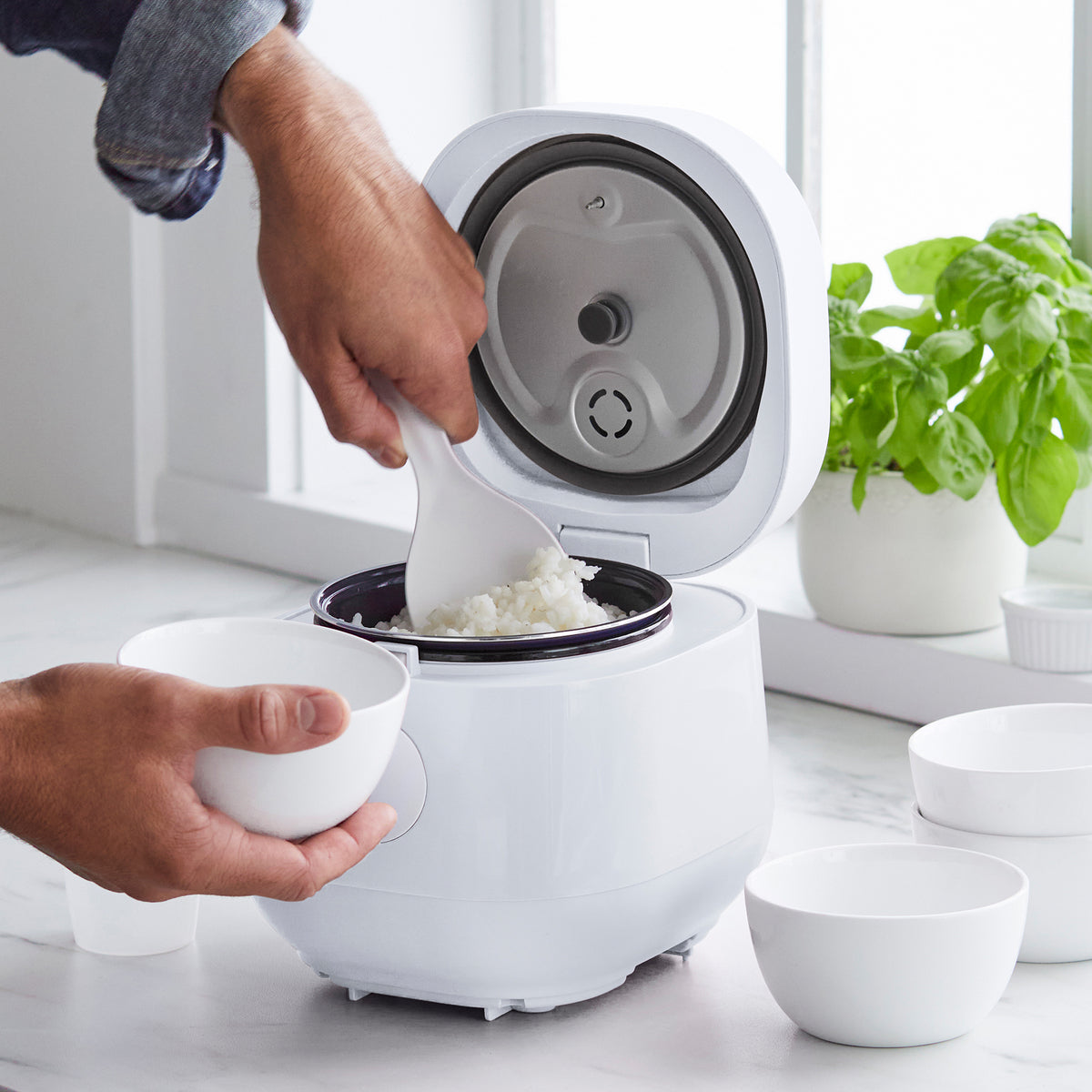 GreenLife 4-Cup Rice & Grains Cooker | White