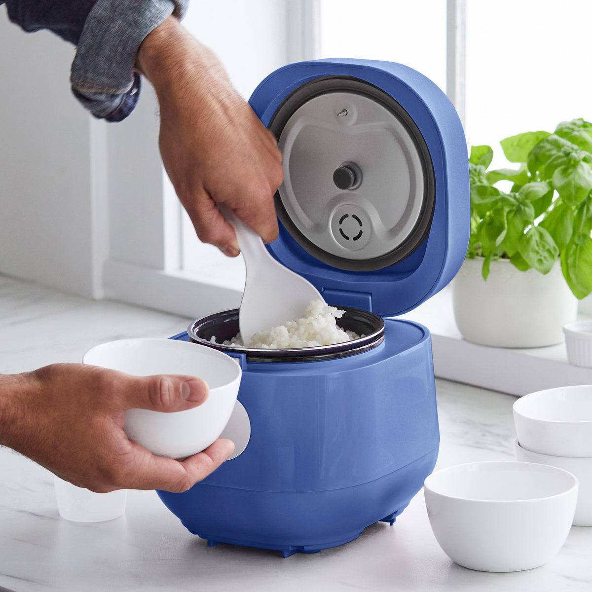 GreenLife 4-Cup Rice & Grains Cooker | Blue