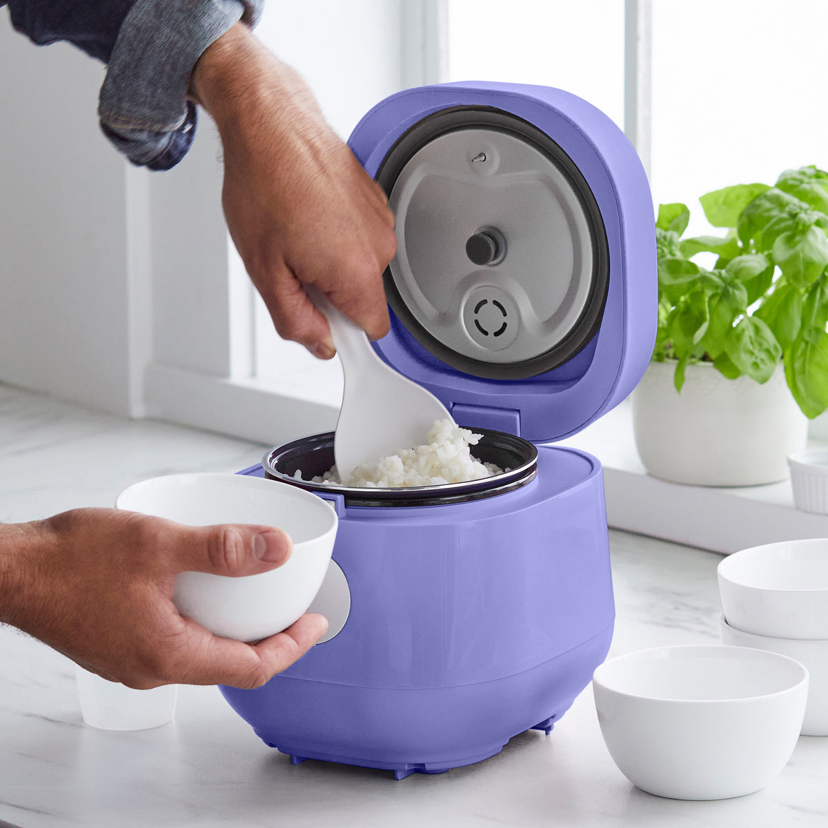 GreenLife 4-Cup Rice & Grains Cooker | Periwinkle