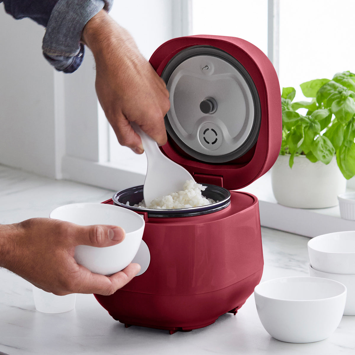 GreenLife Rice & Grains Cooker | Red