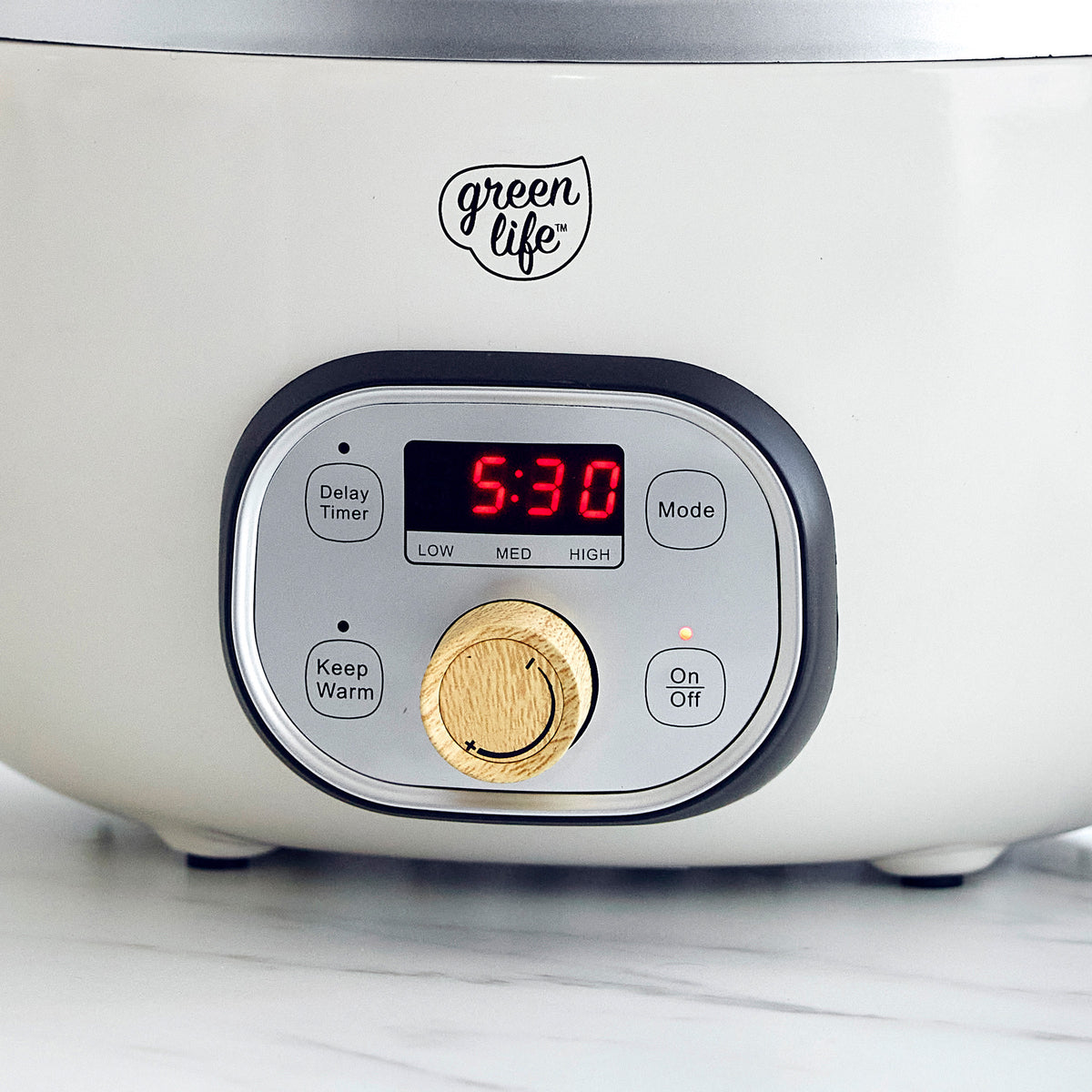 Slow cooker with delay start timer